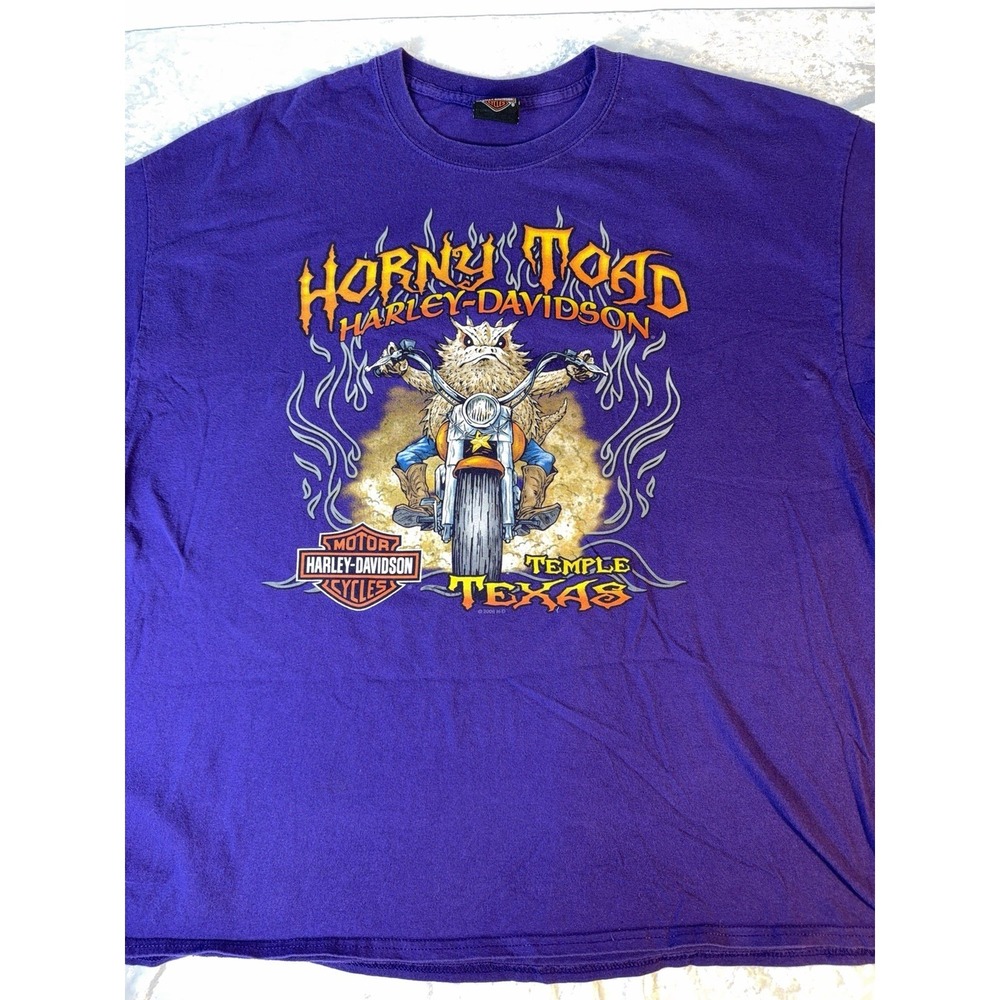 Harley Davidson Temple Texas T Shirt Mens XL Purple Horny Toad Graphic Biker